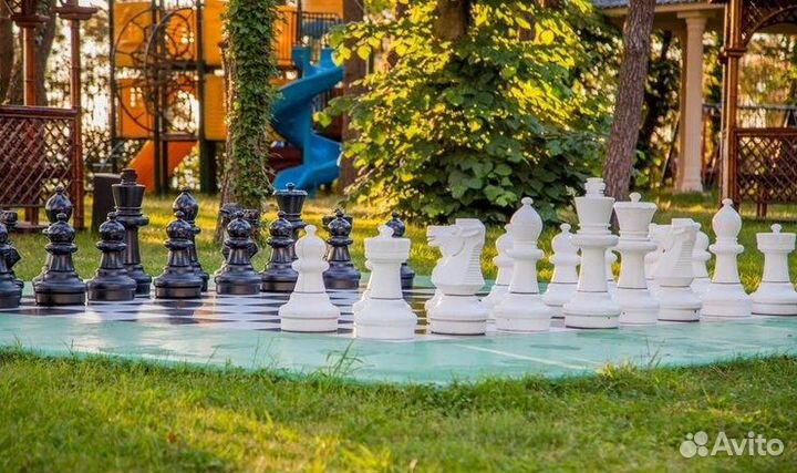 Грузия: море и горы. Отель 5* 1 линия