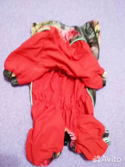 Ветровка для собаки