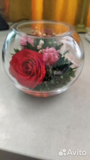 Цветы в вакууме