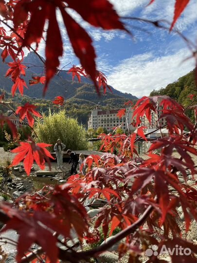 Красная поляна экскурсия