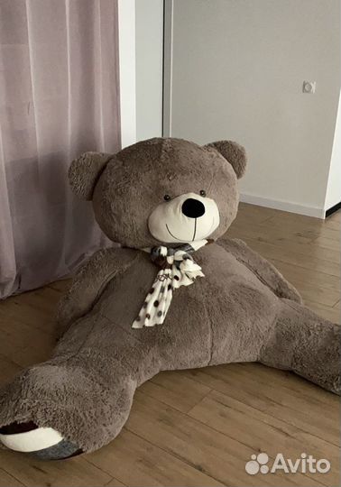 Мишка Тедди