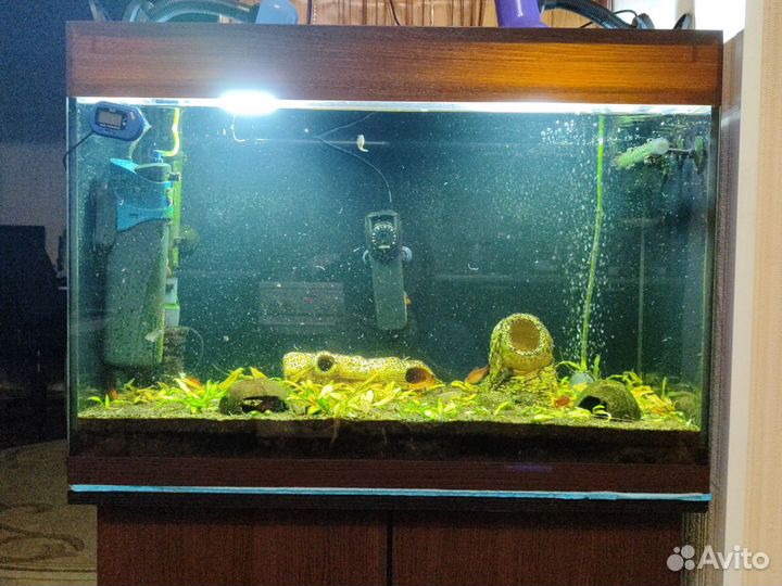 Аквариум с тумбой 100 литров б/у