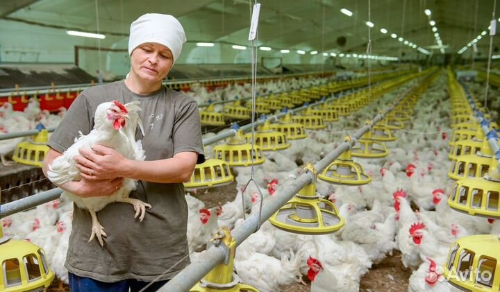 Упаковщики/Птичка/Павловский р-н.Нижегород.обл