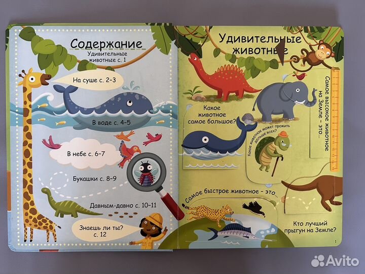 Детские книги с окошками