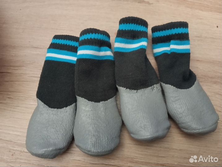 Носки для собак