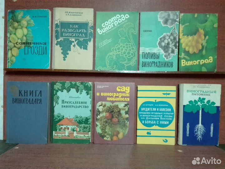 Виноградарство и виноделие