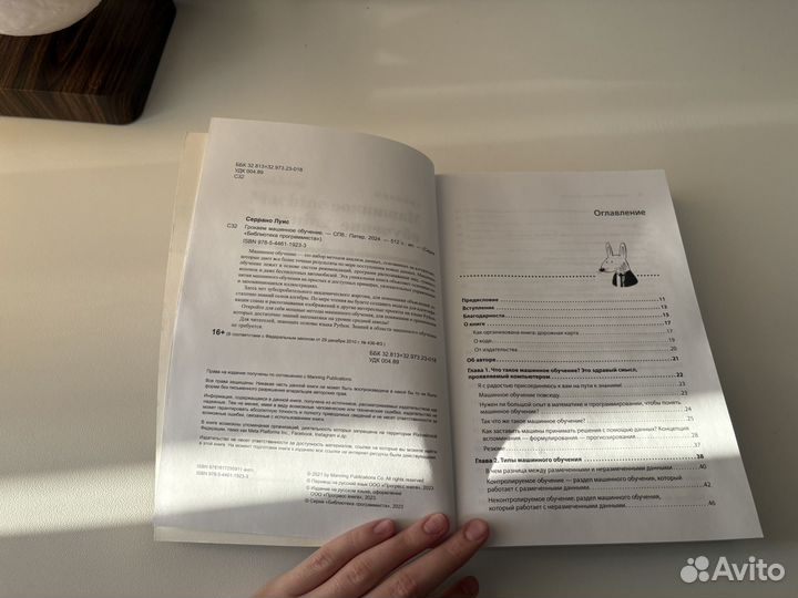 Луис Серрано, Грокаем машинное обучение