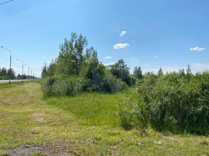 Участок 74 га (СНТ, ДНП)