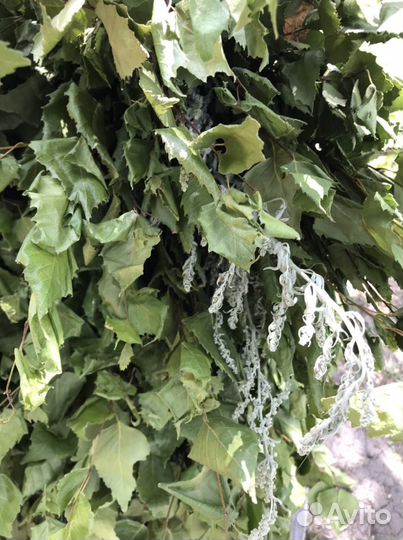 Веники для бани(липа, береза, дуб)