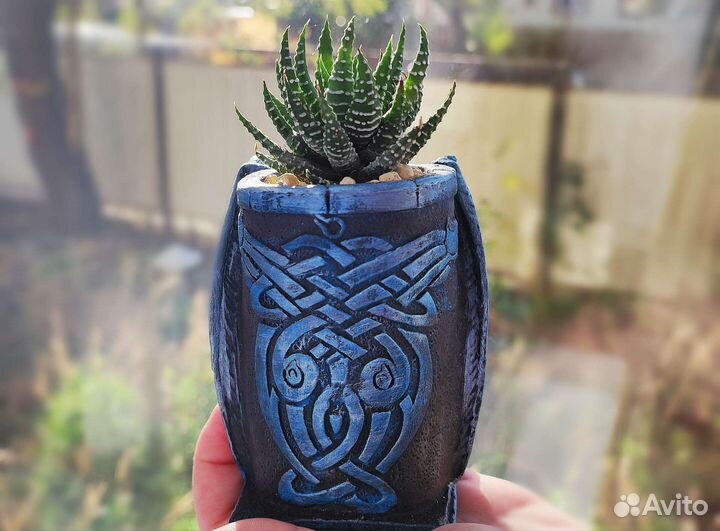 Суккулент в кашпо в виде дракона
