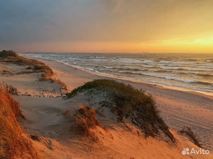 Автобусный/жд тур в Калининград из Казани