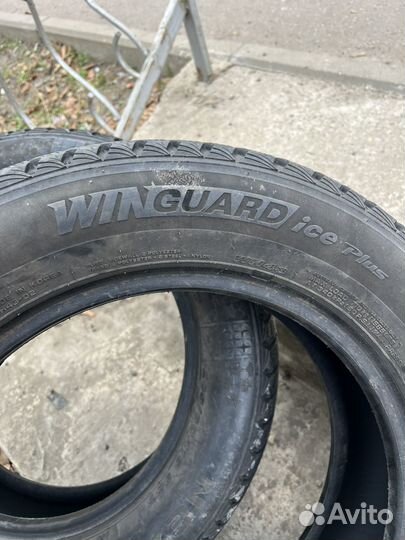 Nexen Winguard Ice Plus 205/60 R16 96T