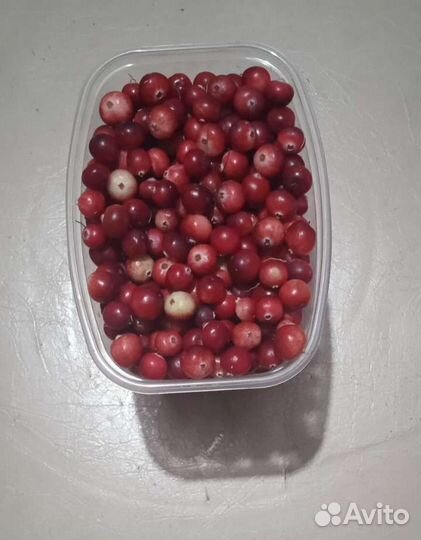 Клюква свежая