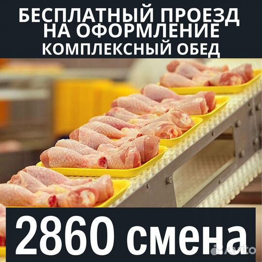 Вахта Пенза разнорабочий бесплатный выезд