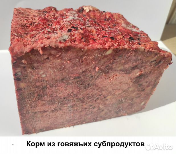 Говядина для собак. Субпродукты с Доставкой