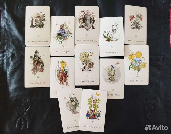 Anatomical Tarot Cards