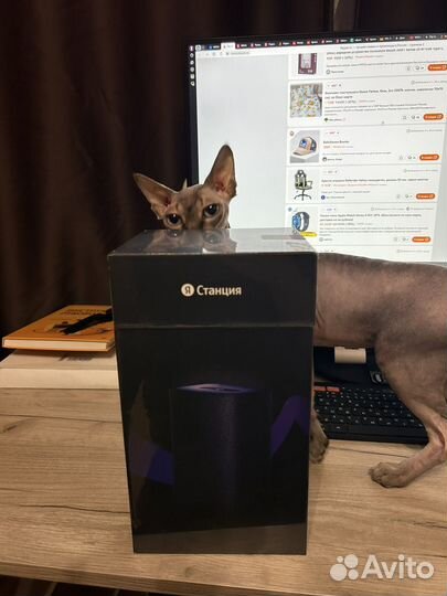 Яндекс станция 2 новая