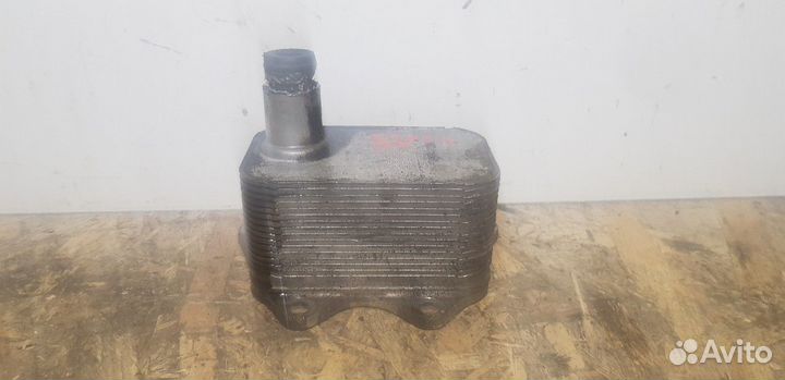 Радиатор масляный (Audi A3 8P)