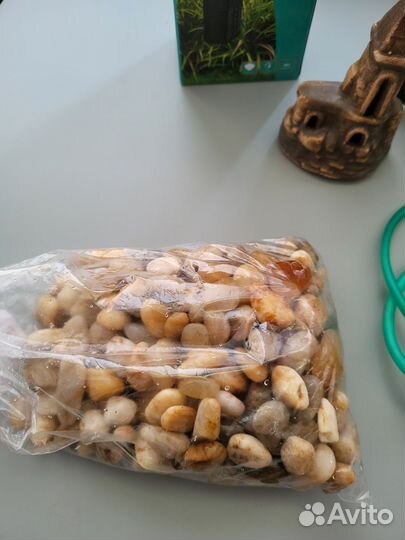 Фильтр для аквариума