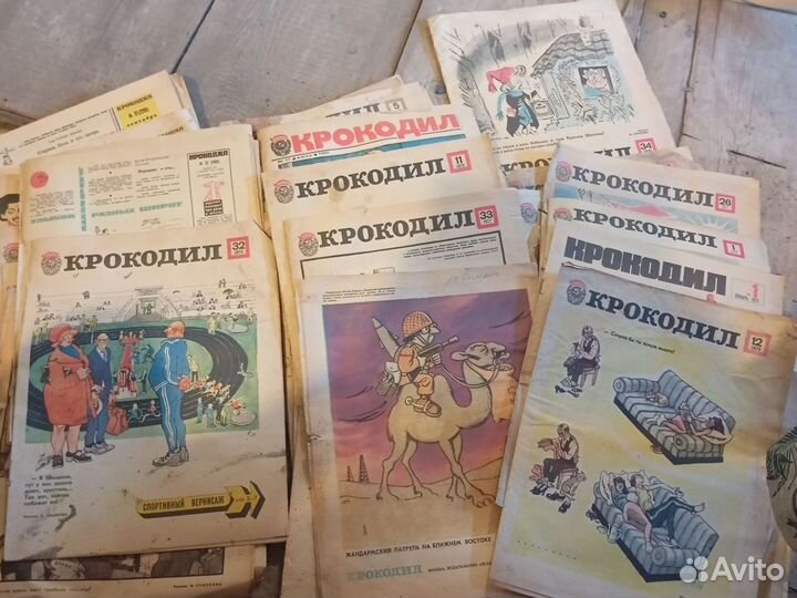 Крокодил, вокруг света, Перець, за рулём, здровье