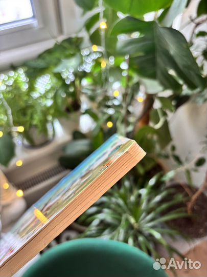 Сюзанна ротраут бернер Зимняя Книга