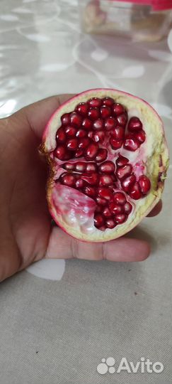 Саженец граната