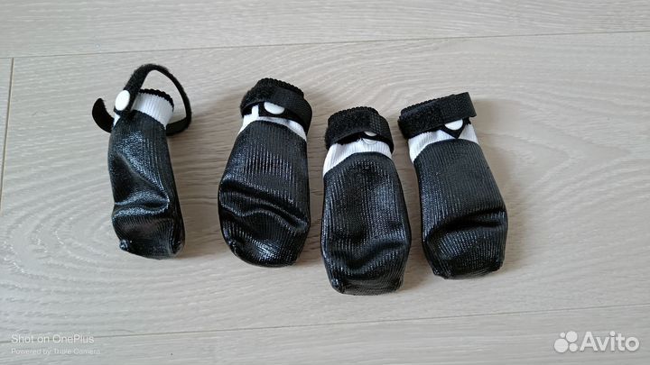 Носки для собак rukka pets