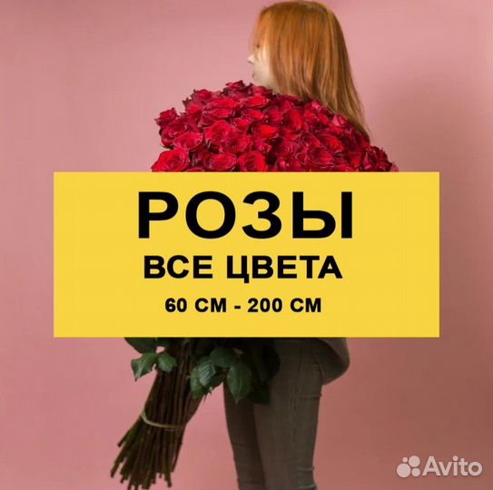 101 роза букет цветов в москве