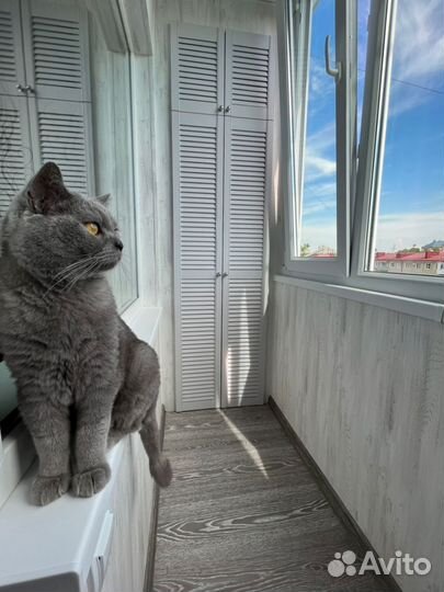 Остекление балконов и лоджий под ключ