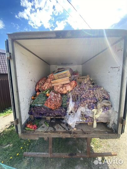 Корма для животных