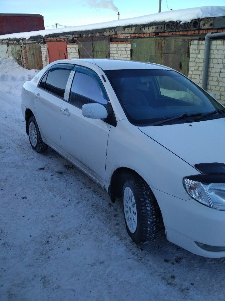 Toyota Corolla: фото владельца