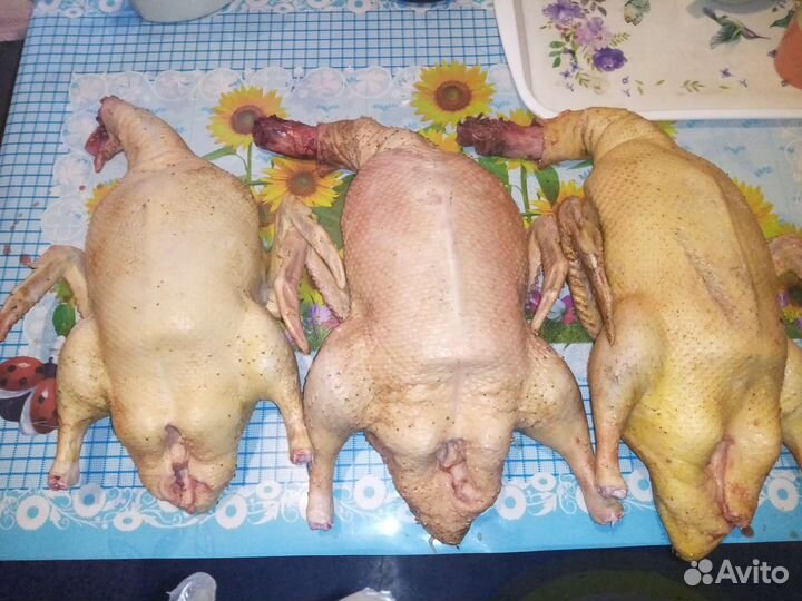 Продукты питания