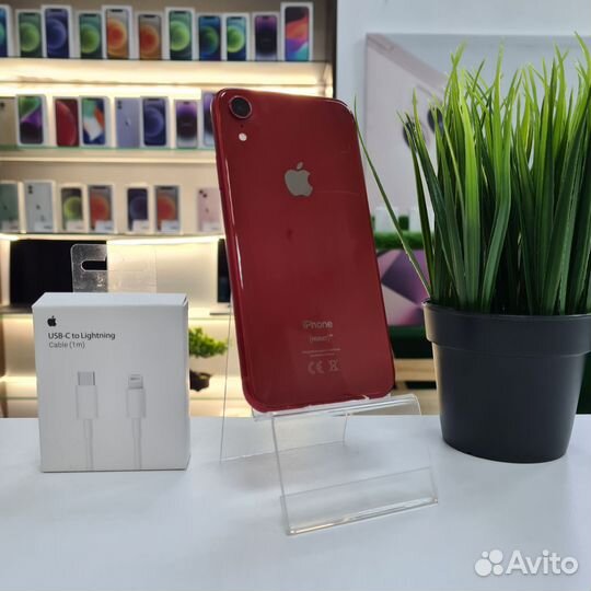 iPhone Xr, 128 ГБ