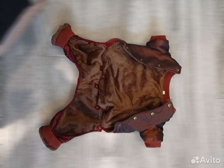 Комбинезон для маленькой собаки