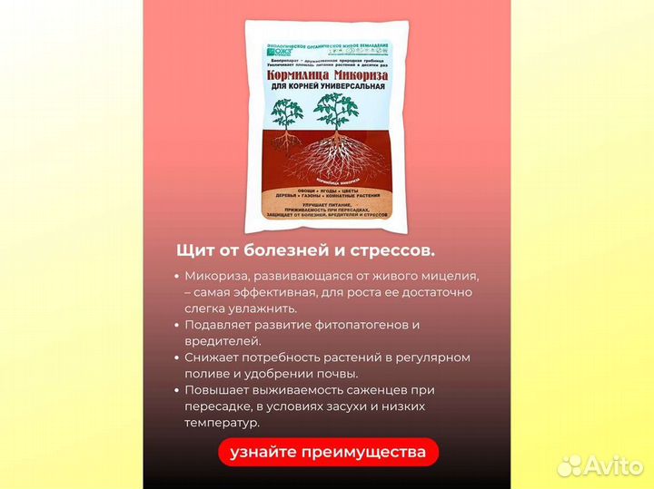 Кормилица Микориза для растений
