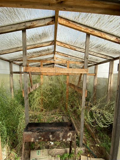 Участок 14 сот. (СНТ, ДНП)