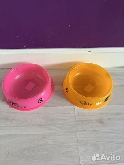 Лабрадор ретривер девочка