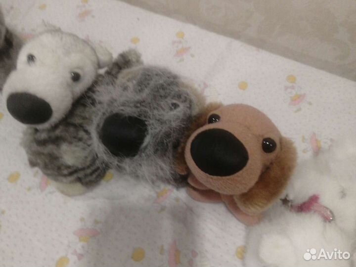 Мягкие игрушки щенки и котята