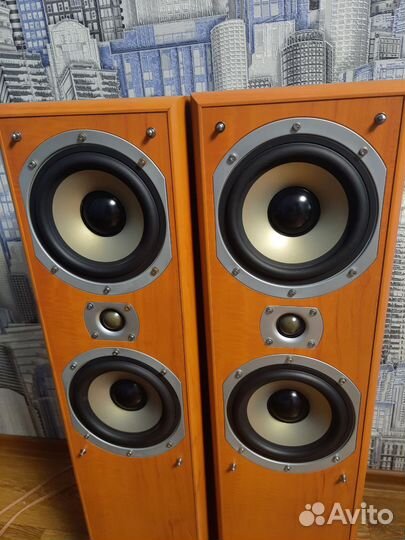 Колонки(2/100w,6om)