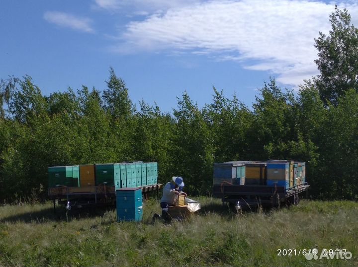 Мед от производителя