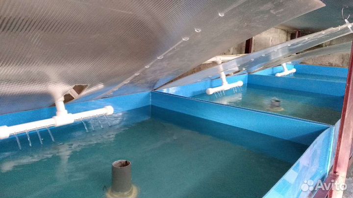 Узв для раков