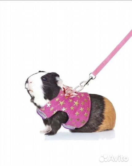 Аксессуары для грызунов шлейка поводок