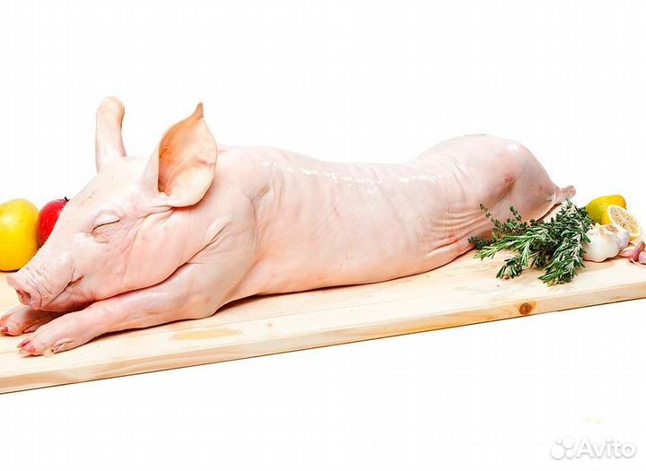 Молочные поросята,тушки