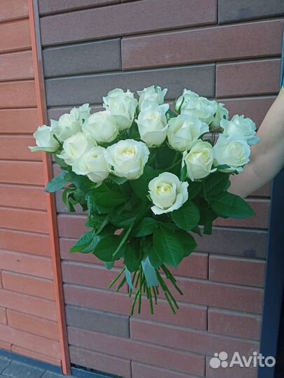 Букет 25 роз