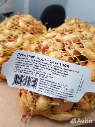 Лук севок Стурон