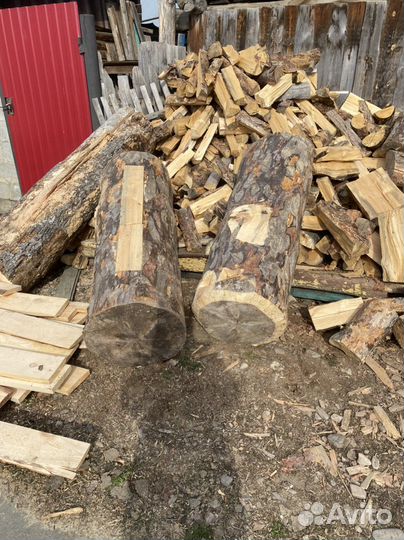 Колода для пчел