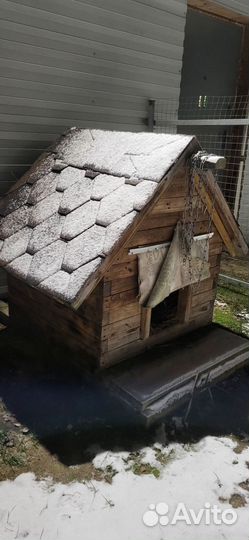 Будка для большой собаки