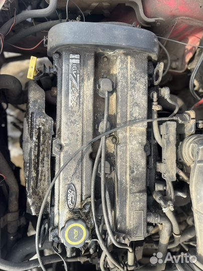 Двигатель ford escort 1.6 L1E 16v zetec