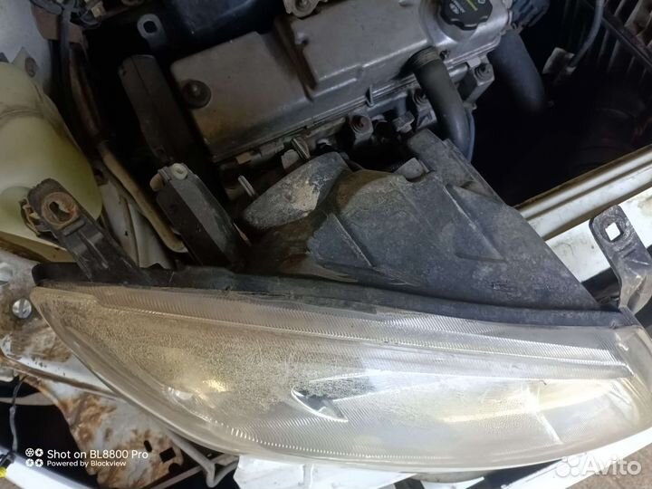 Фара гранта