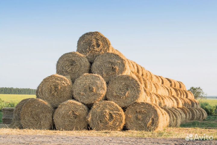 Сено Костёр в Рулонах